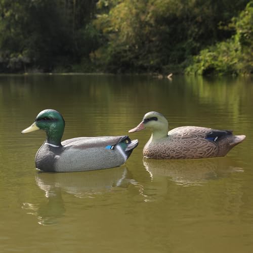 Mallard Duck Decoys 2-Pack - 13-Inch Floating Waterfowl Decoys with Weighted Keel for Hunting & Pond Decor