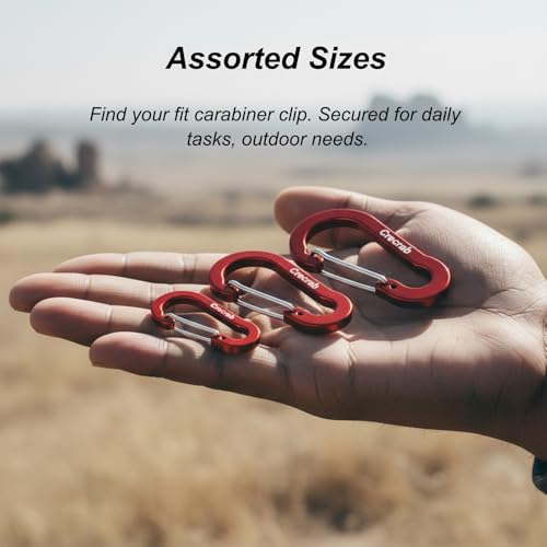 Carabiner Clip Variety Pack - Small, Medium, Large - 12 Colors