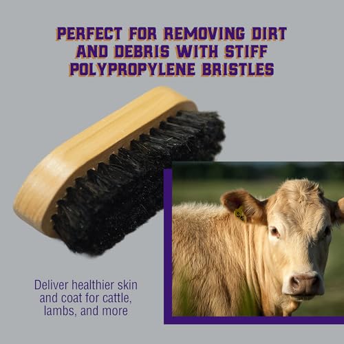Livestock Grooming Brush - Wooden Barn Brush for Goats, Sheep, Pigs, Cattle