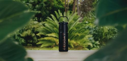 STANLEY IceFlow Flip Straw Bottle 24 oz Messi Goat Black – Lightweight Insulated Water Bottle