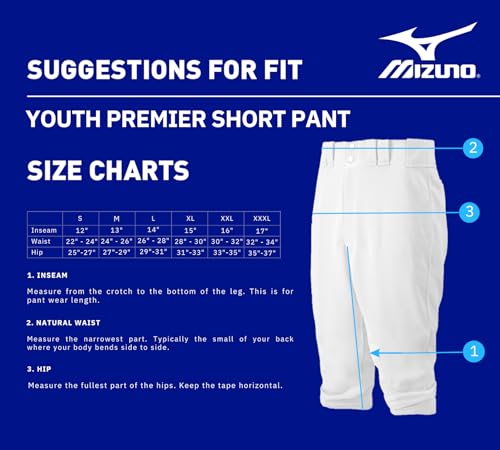 Mizuno Youth Premier Short Baseball Pant Large Black - Durable & Performance-Ready