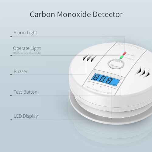 Carbon Monoxide Detectors, CO Detector Battery Powered, Carbon Monoxide Alarm with Sensitive CO Sensor, LCD Display and Sound Warning for Home, Bedroom, Kitchen