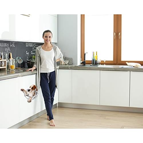 Winston & Bear 3D Reaching Beagle Decals - Dog Stickers for Wall, Car, Fridge, Toilet and More - Retail Packaged - 2 Pack