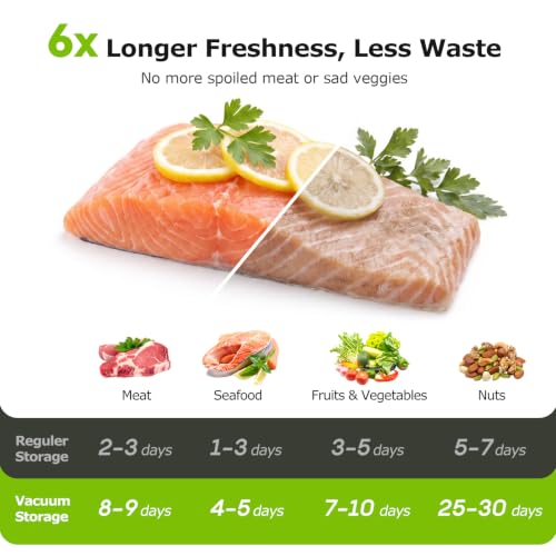 Bonsenkitchen Handheld Vacuum Sealer for Travel with 30 Reusable Bags - Silver