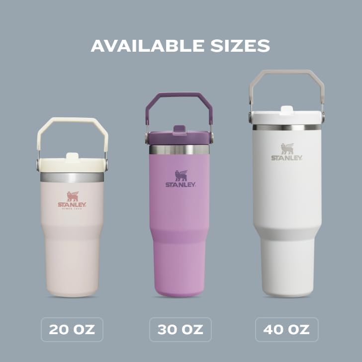 Stanley IceFlow 20 oz Flip Straw Tumbler - Insulated Stainless Steel, Leak Resistant, BPA-Free | Azure