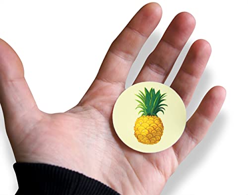 Pineapple Fruit Vinyl Stickers - 2" Round Decals - 20 Pack