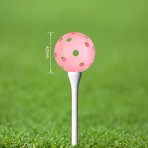 Practice Golf Balls 24 Pack - 42mm Multicolor Training Balls