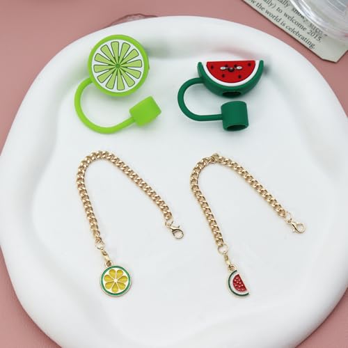 Fruit Straw Covers for Stanley Tumblers - 4Pcs Set, Fruit Series-2