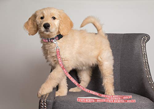 Ohio State Buckeyes Dog Leash - Medium NCAA Licensed