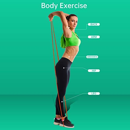 Resistance Bands for Exercise - 15-35 lbs Orange