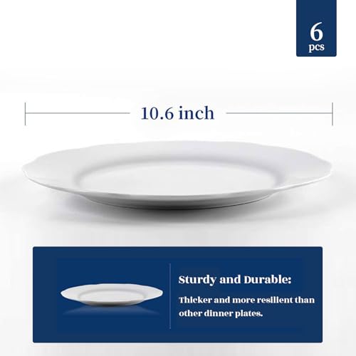 Y YHY Ceramic Dinner Plates Set of 6, 10.6 Inch White Porcelain Flatware for Holiday & Daily Use