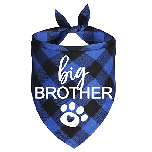 Big Brother Dog Bandana - Blue Plaid Pregnancy Announcement