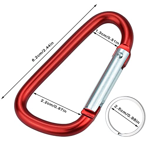 12 Pack Aluminum Carabiners with Keychains - D Ring Snap Hooks