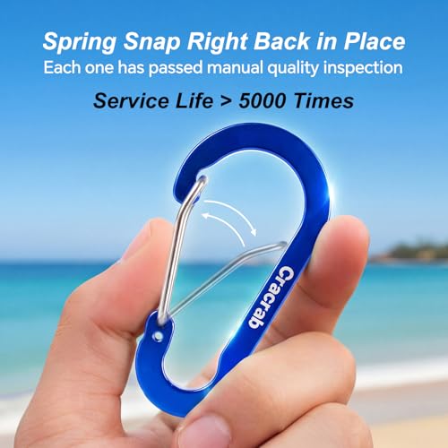 12-Piece Carabiner & O-Ring Clip Set - Lightweight Aluminum Organizer