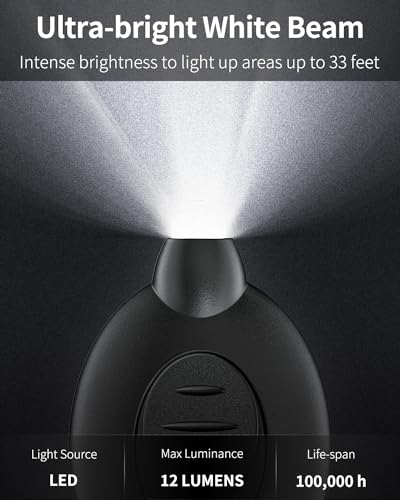 Mini LED Keychain Flashlight - 5 Pack, Black Shell with White Light