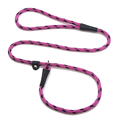 Dog Slip Leash and Collar Combo - 3/8 in x 6 ft - Black Ice Raspberry