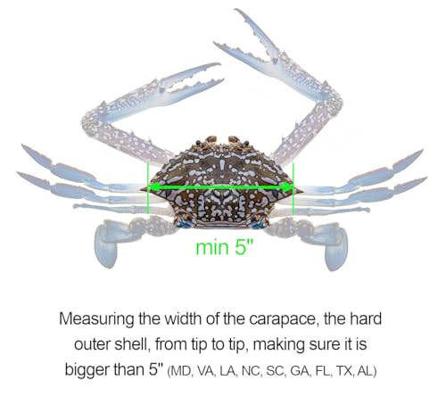 Aluminum Lobster & Crab Gauge - 5" & 3-1/4" Slots - 1pc