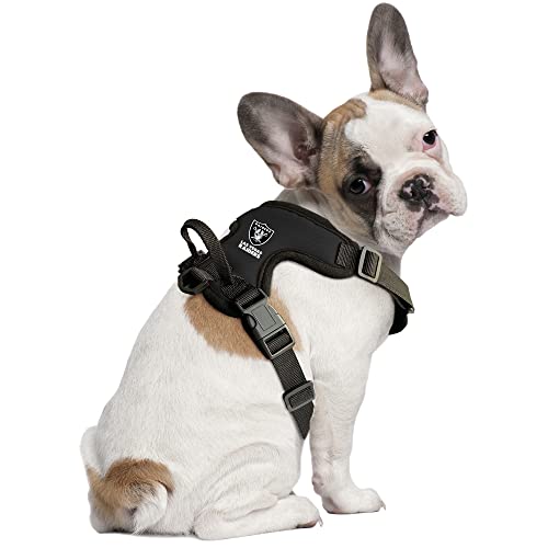 Pet Front Clip Harness - Las Vegas Raiders - X-Large