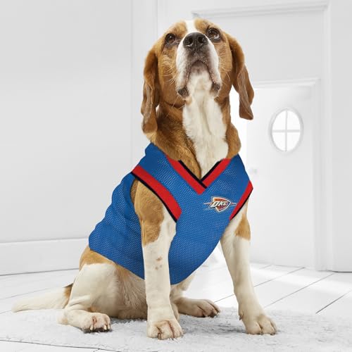 Oklahoma City Thunder Dog Jersey - Large Basketball Tank Top