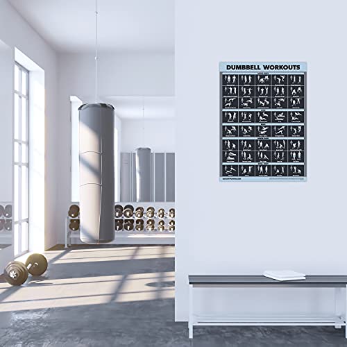 Dumbbell & Barbell Exercise Poster Set - Laminated 2 Pack (18" x 24")