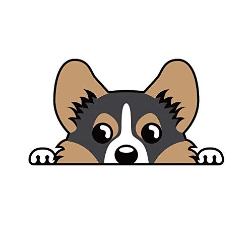 Tricolor Pembroke Welsh Corgi Vinyl Sticker - 5-Inch Weatherproof Decal