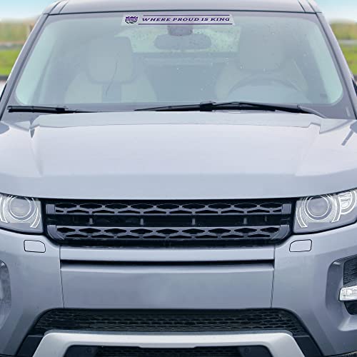 Detroit Lions NHL Tailgate Sticker - 3x17 Inch Car Decal