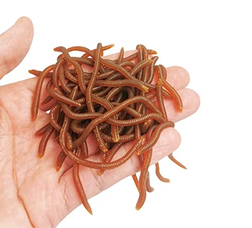 3.3 Inch Soft Fishing Lure - Brown Earthworm Bait (50pcs)