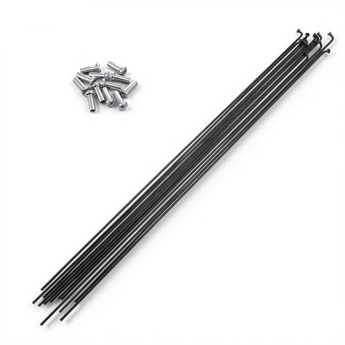 14G Stainless Steel Bicycle Spokes Set - 12pcs 290mm Black