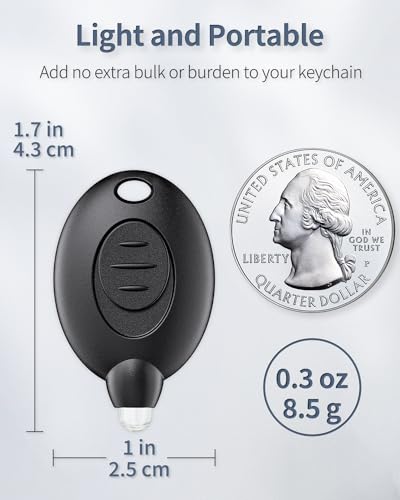 Mini LED Keychain Flashlight - 5 Pack, Black Shell with White Light