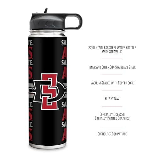 22oz Stainless Steel Tumbler with Leak-Proof Lid for Coffee & Tea