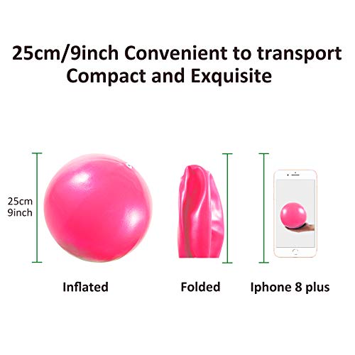 9 Inch Mini Exercise Ball with Inflatable Straw - Pink