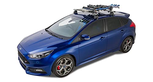 20-Inch Ski & Snowboard Carrier - Holds 4 Skis/2 Snowboards