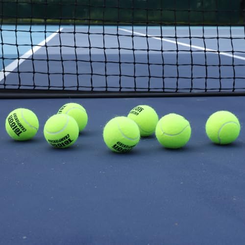 Championship Pressurized Tennis Balls - Extra & Regular Duty - 1 Can of 3 Balls