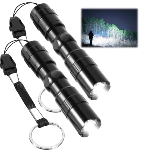 2 Pack Mini LED Flashlights - Tactical High Lumen Black
