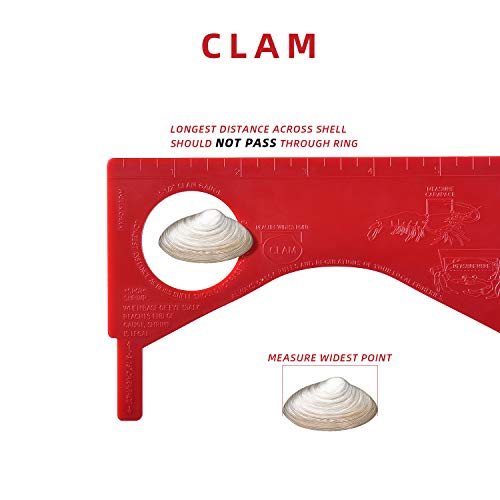 Crab & Shellfish Measuring Gauge Tool - Red Rock & Dungeness - RD-1