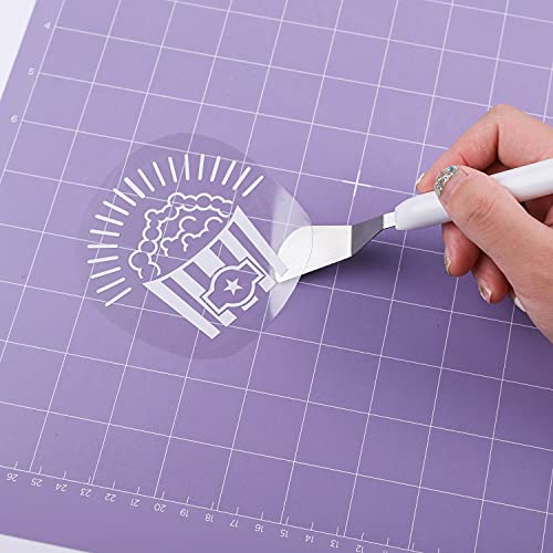 CAREGY Craft Vinyl Weeding Tools Set,