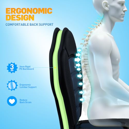 EELLAO Kayak Seat Deluxe Black & Blue with Detachable Storage Bag, Cushioned Back Support, Adjustable Straps