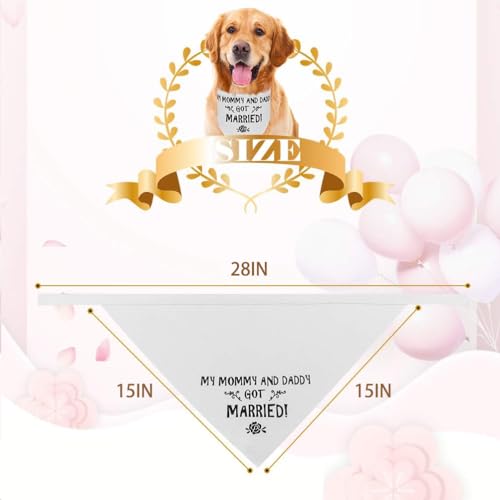 Wedding Dog Bandana - 28" White 'Got Married' Scarf for Pets
