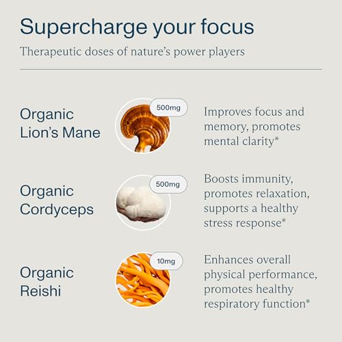 FOCL Lion's Mane Mushroom Gummies 30-count Pack of 30 – Brain & Immunity Support