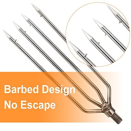 4-Prong Fishing Harpoon Spear - Stainless Steel Gig with Aluminum Rod