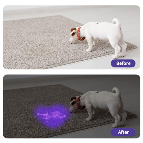 UV Black Light Flashlight 2 Pack - 12LED 395nm Mini Torch - Silver