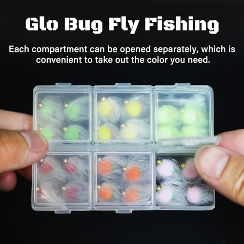 KJEIM 24pcs Fly Fishing Flies Kit for Salmon, Trout & Steelhead with Brass Beadhead Glo Bug Eggs