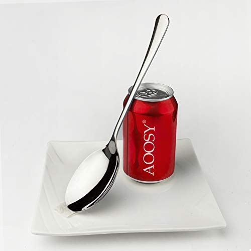 AOOSY 6-Pack Large Serving Spoons 9.8in Buffet Utensils Silver