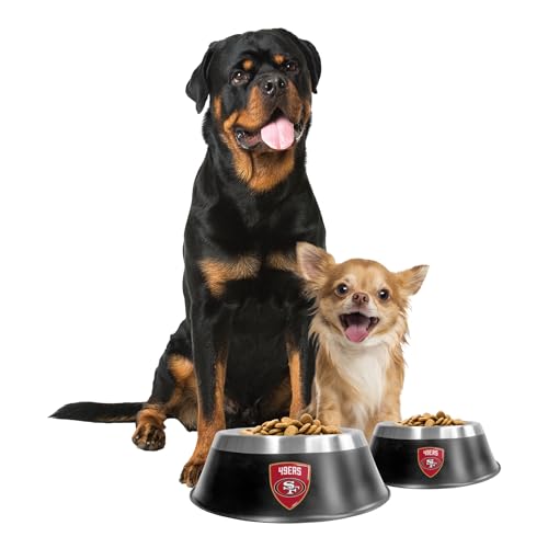 Detroit Lions MVP Pet Bowl - Small Size with Anti-Skid Base