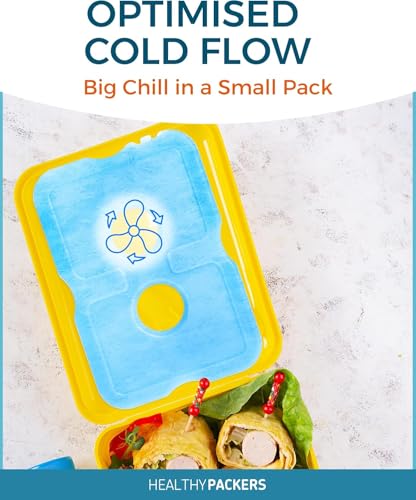 Reusable Ice Packs for Coolers - 4 Pack Blue - Long Lasting & Slim
