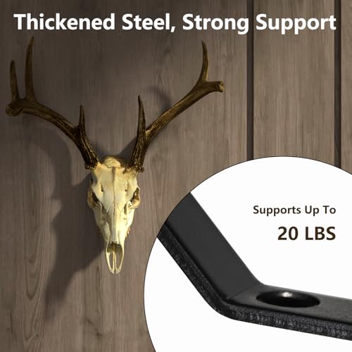 4 Pack Stainless Steel European Deer Skull Mount Hanger - Heavy-Duty Wall Mount