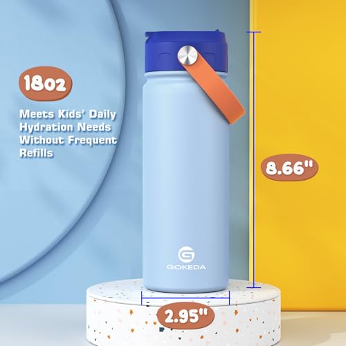 Kids Stainless Steel Water Bottle 18oz with Leak-Proof Straw & Dust Cover