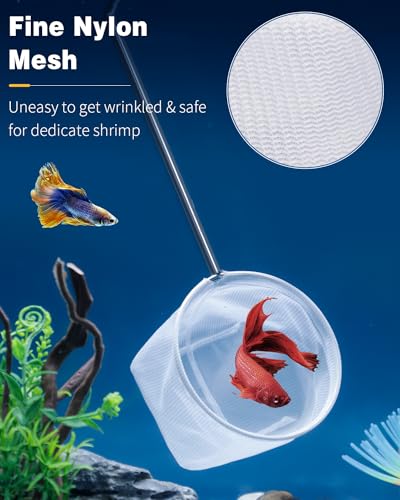 4-Inch Shrimp Net with Extendable Handle - Blue Round