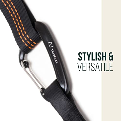 2 Pack Lightweight Aluminum Wire Gate Carabiners - 1102 lbs Capacity