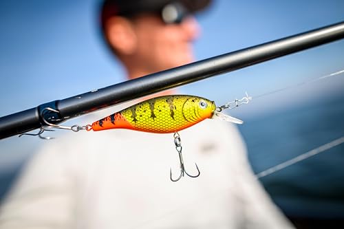 Berkley Flicker Shad Freshwater Crankbait - Firetail Chrome Candy, 2 3/4 in